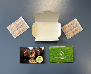 Pflaster Jane Goodall